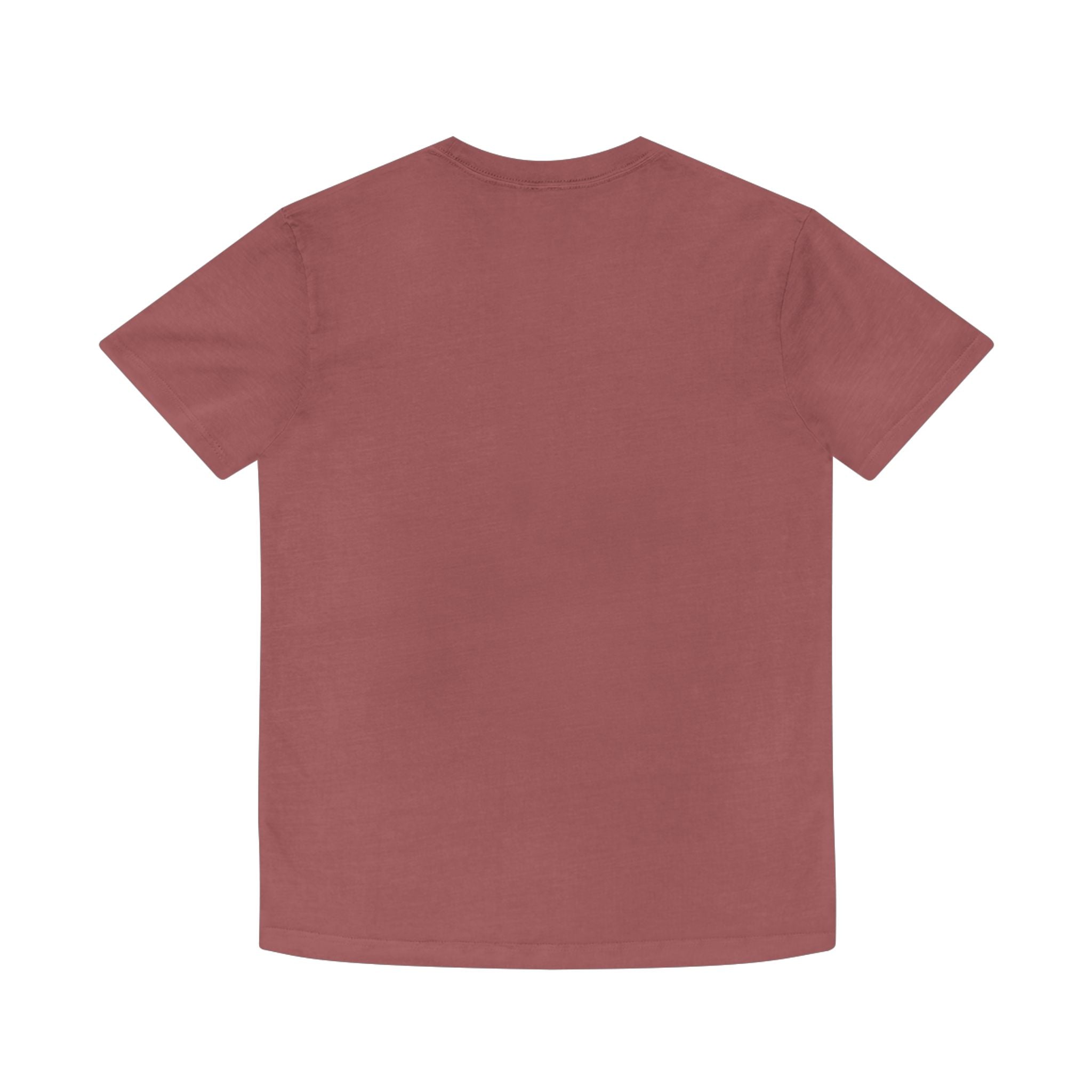 Armor of God T‑Shirt — Christian Faith Shield Tee